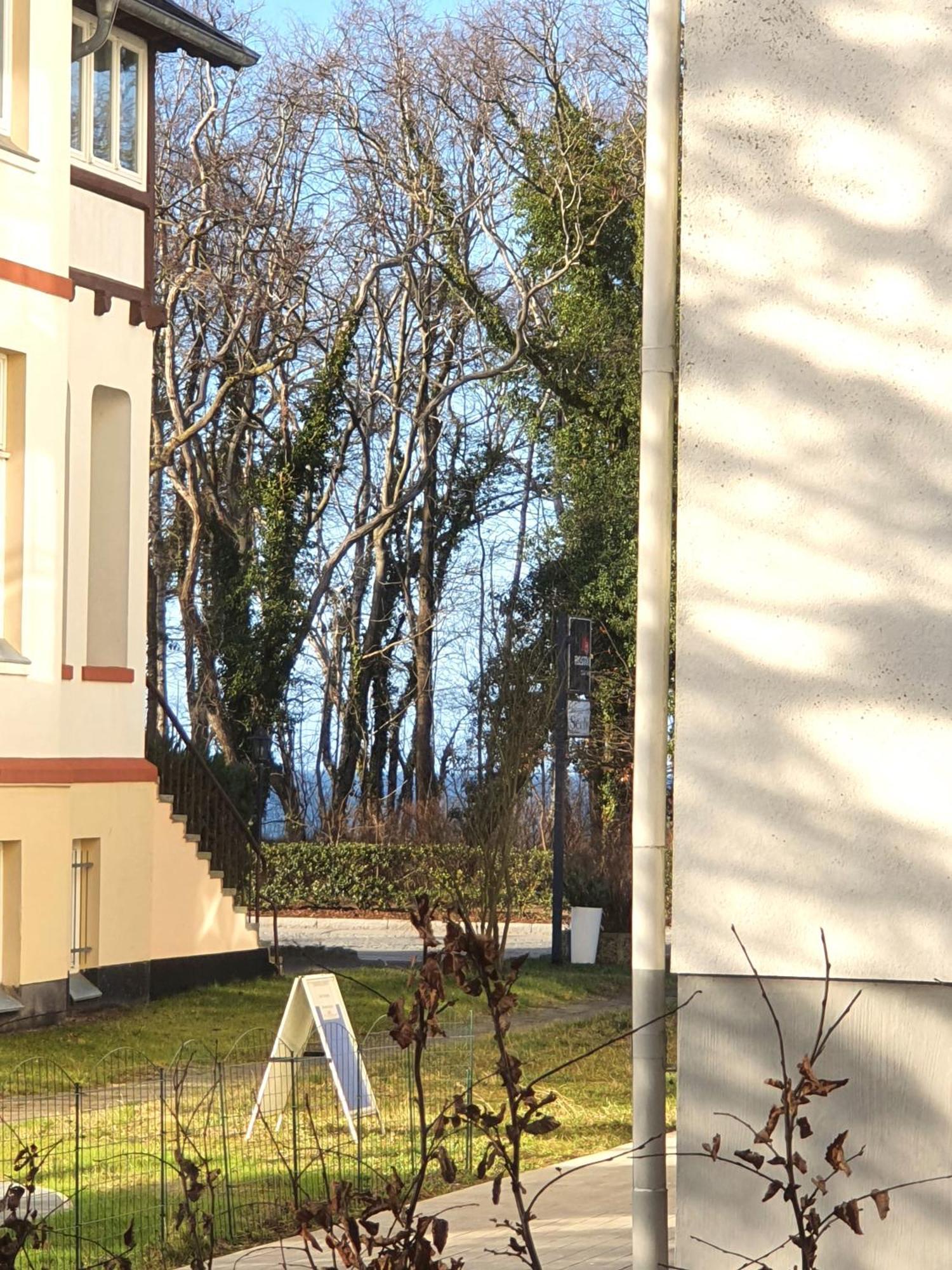 Villa Camenia Ostseebad Kühlungsborn Cameră foto